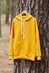 Yellow hoodie hanging on a hanger on a tree in the forest