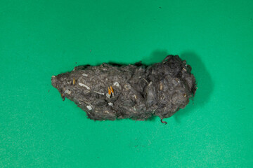 Owl Pellet taken in central MN