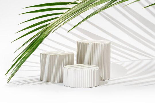 Modern display podiums with tropical palm leaf shadow