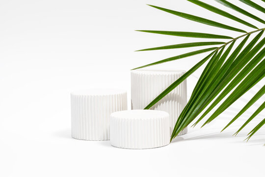 White podiums with palm leaf on neutral background