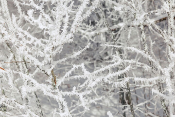 Winter in Switzerland