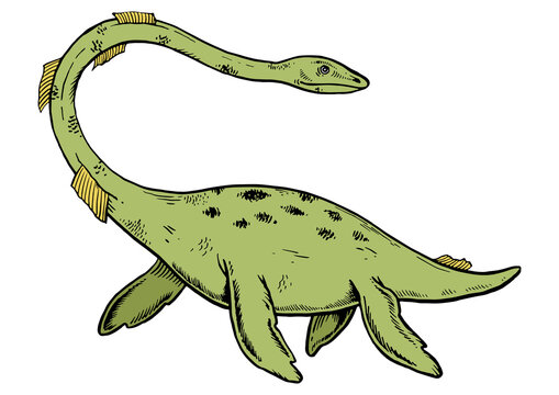 Loch Ness Monster color sketch engraving PNG illustration. Scratch board style imitation. Black and white hand drawn image.