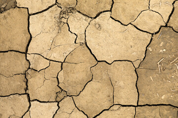 Dried out soil drought drought
