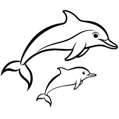 dolphin isolated on white