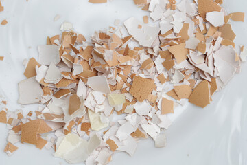 Crushed egg shell on the plate, cn be used as a calcium and mineral rich additive to wild bird feed...