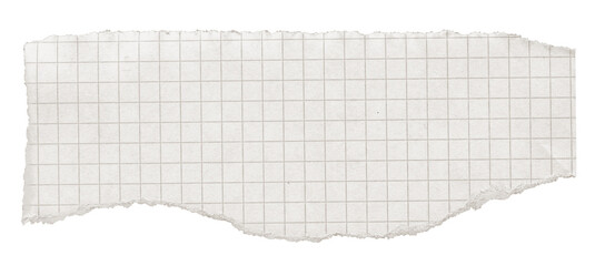 White Ripped Paper Scrap. Graph Paper with Torn Edge, Scrapbook Sticky Notes, Notebook Page