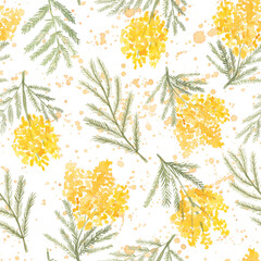 Seamless pattern with hand drawn watercolor mimosa on white background. Spring botanical wallpaper for textile, print, wrapping paper