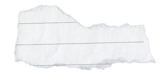 White Lined Ripped Paper Strip. Scrap Paper with Torn Edge, Scrapbook Sticky Notes, Notebook Page