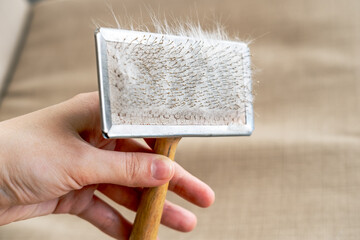 A lump of cat hair and a comb for combing hair. Pet care, grooming, brushing
