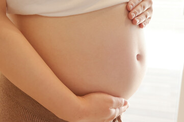 妊娠中の妊婦のお腹