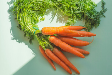 Fresh farmer's carrots  on a mint background, sun rays. Ecologically friendly products. Roots - 791728811