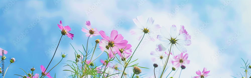 Wall mural flowers against the sky