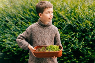 Teen boy holding green sprouts in a tub, healthy eating mocrogreen