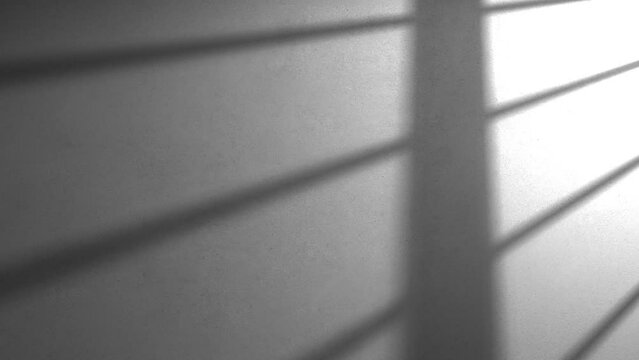Gobo light windows silhouette aesthetic on concrete wall textures.