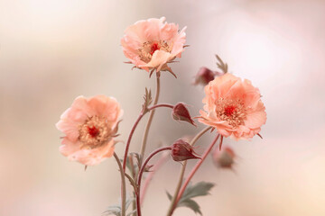 Wiosenne kwiaty - Kukliki Mai Tai. - 791741852