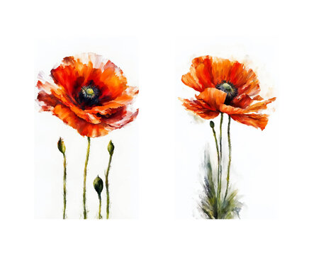 Artistic watercolor representation of two vibrant red poppy flowers, perfect for cards, invitations, botanical illustrations, floral design elements and nature-themed projects