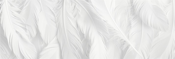 Elegant white feathers form with soft texture, minimalist pattern