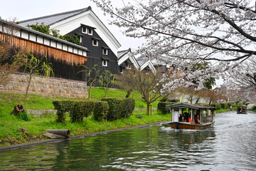 Fototapeta na wymiar 酒蔵が連なる桜並木を進む京都伏見十石舟