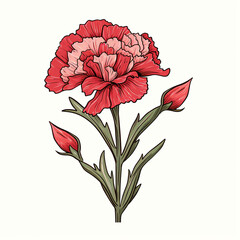 design on a white background a botanical-inspired clipart of a Carnation flower in a retro style suitable for birth month representations сreated with Generative Ai