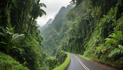 A narrow road winding through a lush green rainfor upscaled 12