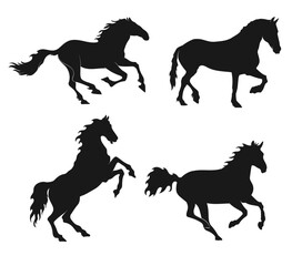 Horse silhouette vector illustration