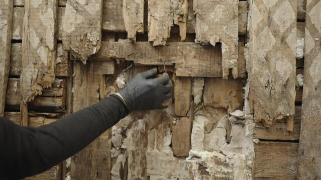 Old wooden wall damaged by termites. Close-up view. Rotten wall. Real photo.