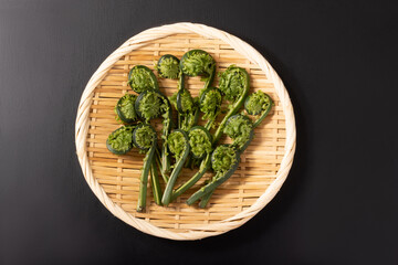 ［山形県産］こごみ　（山菜）