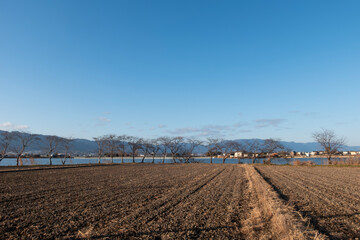 冬の湖　春に向けて農地の整備　滋賀県草津市平湖