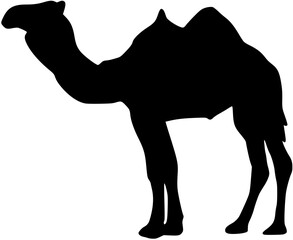 Camel icon. Camel Silhouette
