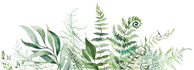 Border with Watercolor fern and botanical green leaves isolated illustration, wedding © katrinshine