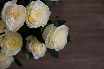 fragrant white roses with dark background