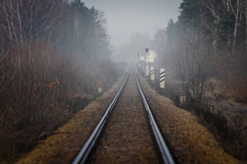 prosty tor kolejowy biegnący przez las, w oddali mgła - obrazy, fototapety, plakaty