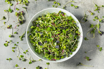 Green Organic Raw Microgreen Sprouts