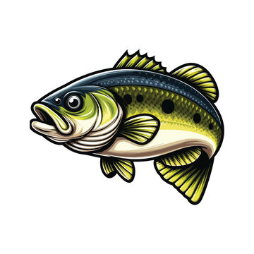 green fish swimming on white background clip art preview