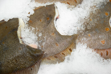 Fresh flounder fish on crushed ice