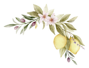 Watercolor vector wreath with olive branches and lemon.. Hand painted botanical illustration. Design for cooking magazines, kitchen decor, print, fashion and invitations.