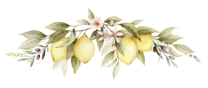 Watercolor vector wreath with olive branches, lemons and flowers. Hand painted botanical illustration. Design for cooking magazines, kitchen decor, print, album and invitations.
