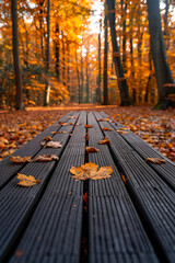 Picturesque Wooden Footpath in a Golden Autumnal Forest, Generative AI