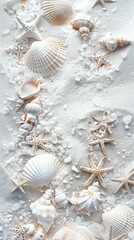 Assortment of seashells and starfish on sandy background