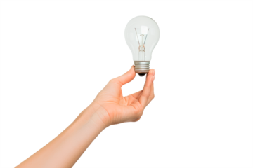 Woman's hand holding a light bulb isolated on a clipped PNG transparent background