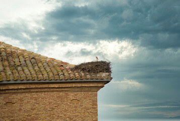 Naklejka premium Nest with stork on the roof of the collegiate church of San Miguel,arnedo spain