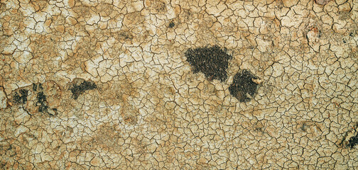 Footprint in dry cracked soil ground
