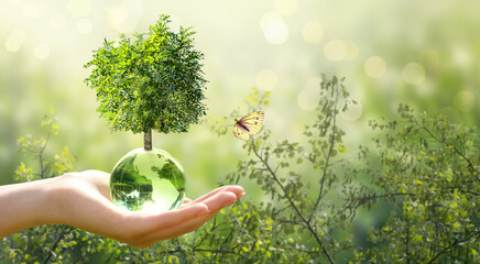 Earth Day or World Environment Day, environmentally friendly concept. Tree growing on globe and yellow butterfly in hand on green background. Save planet and protect nature, sustainable lifestyle.