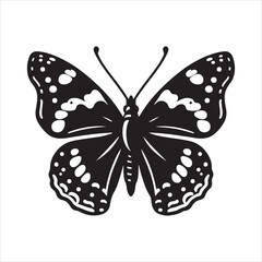 Admiral Butterfly vector - obrazy, fototapety, plakaty