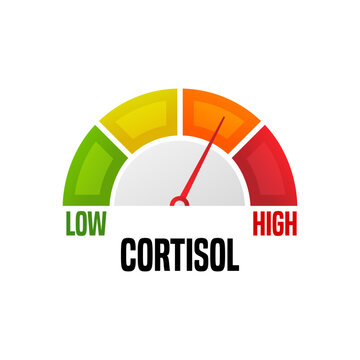 Flat cortisol level for medical vector design on white background