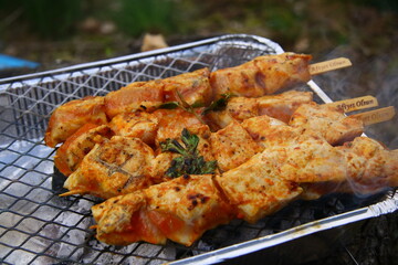 Grilled chicken kebab in nature. Hot red pepper marinade
