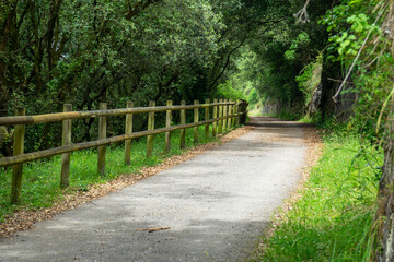 walking path with wooden fencing. Camino de Santiago, Basque Country, Spain