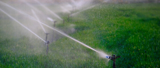 Farming Sprinklers in Field Irrigation and Watering of Crops