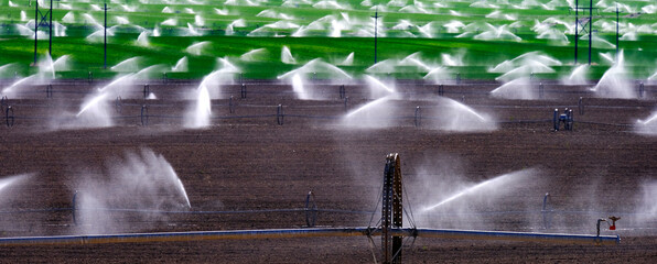 Wheel Line Sprinklers on Farm Field Furrowed Plowed Dirt Grow Green Crops - 791809437