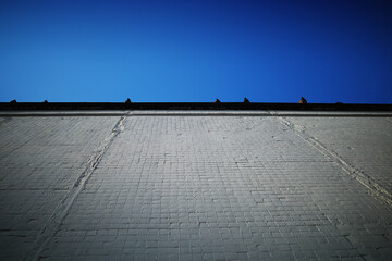 Multiple pigeons sitting on the to of the roof background